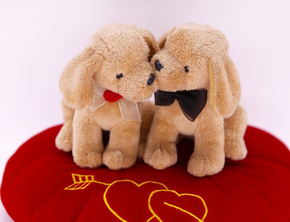 Valentine Series 5