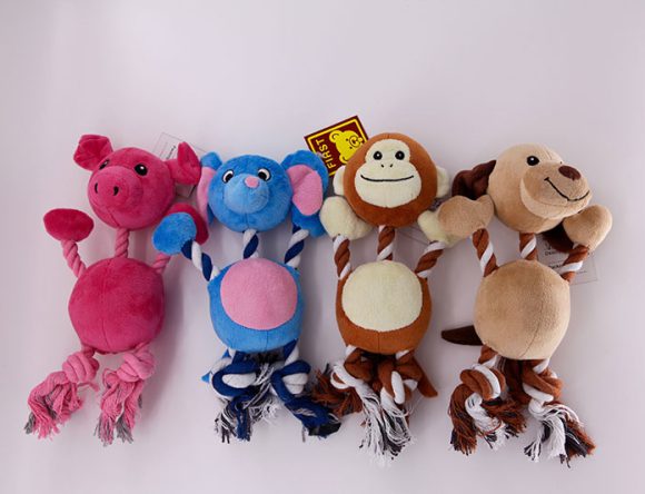 Pet Series 12