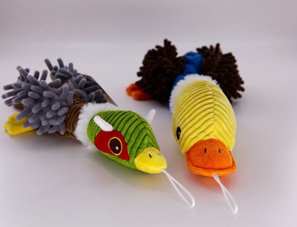 Pet Series 5